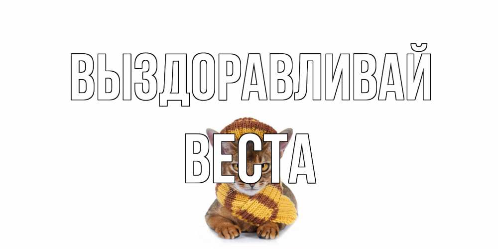 Открытка на каждый день с именем, Веста Выздоравливай родные не болейте Прикольная открытка с пожеланием онлайн скачать бесплатно 