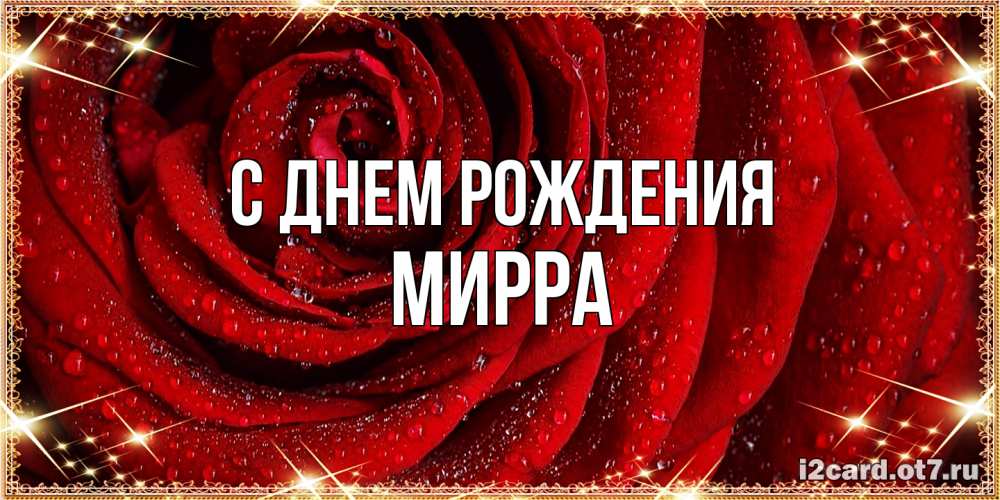 Открытка на каждый день с именем, Мирра С днем рождения роса на розе блестящая в лучах солнца Прикольная открытка с пожеланием онлайн скачать бесплатно 