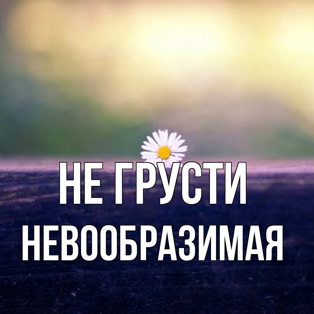 Открытка на каждый день с именем, Невообразимая Не грусти красота Прикольная открытка с пожеланием онлайн скачать бесплатно 