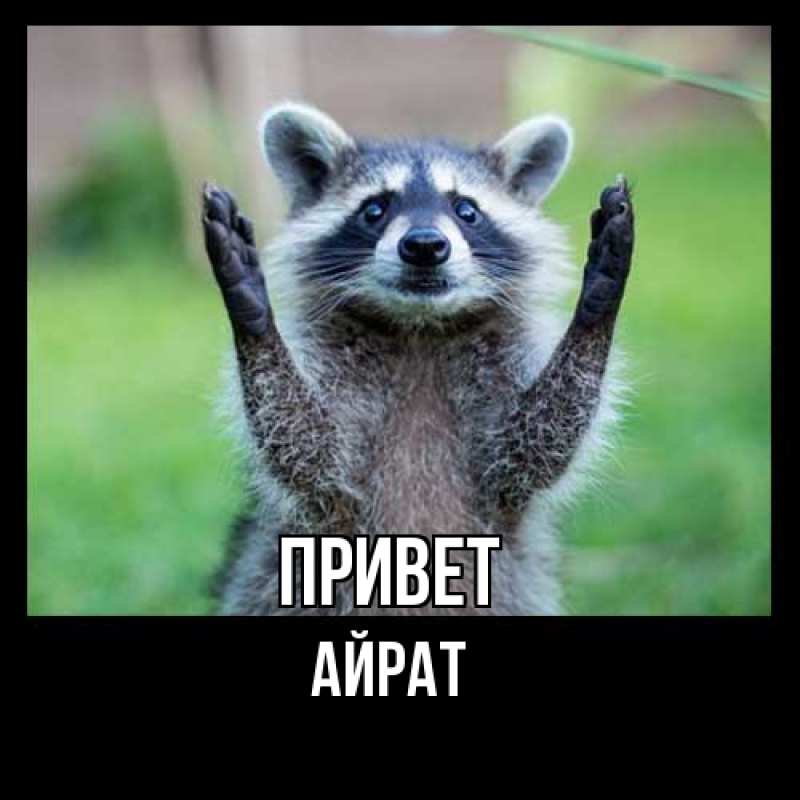 Открытка с именем, Айрат, Привет