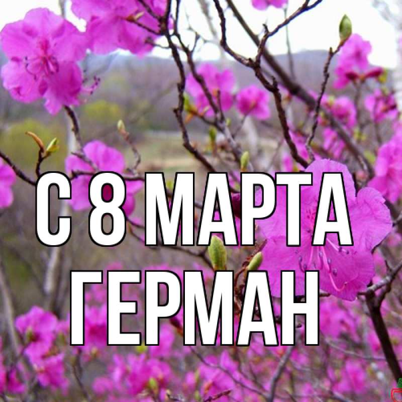 Картинка C 8 МАРТА, Герман