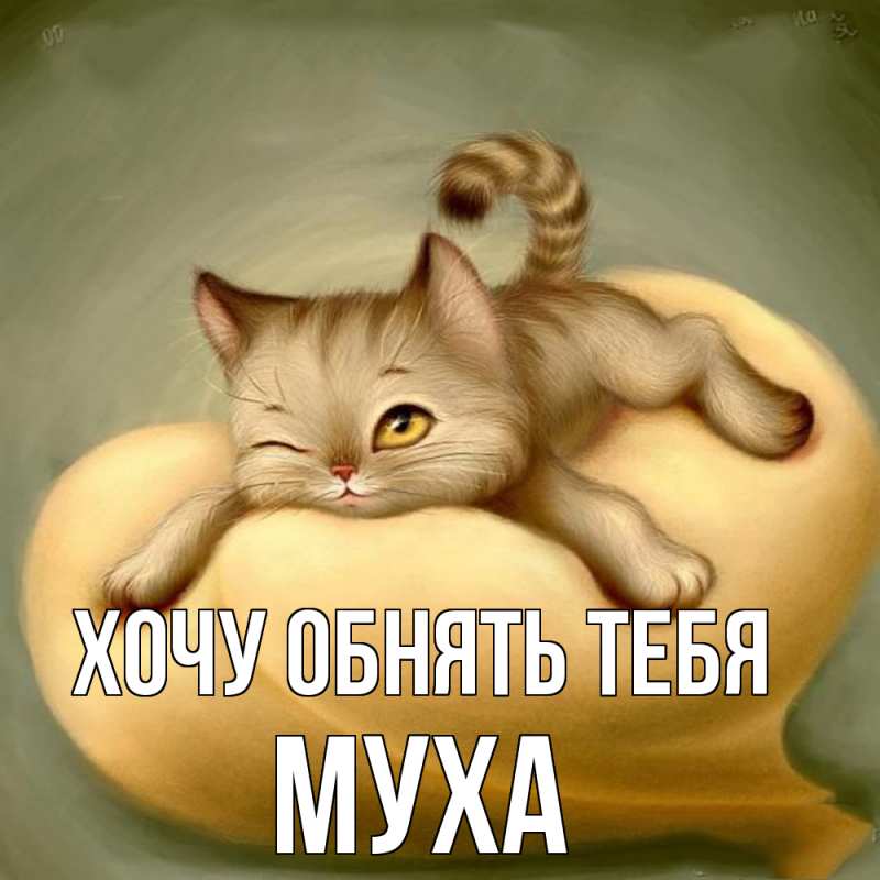 Картинка Хочу обнять тебя, Муха