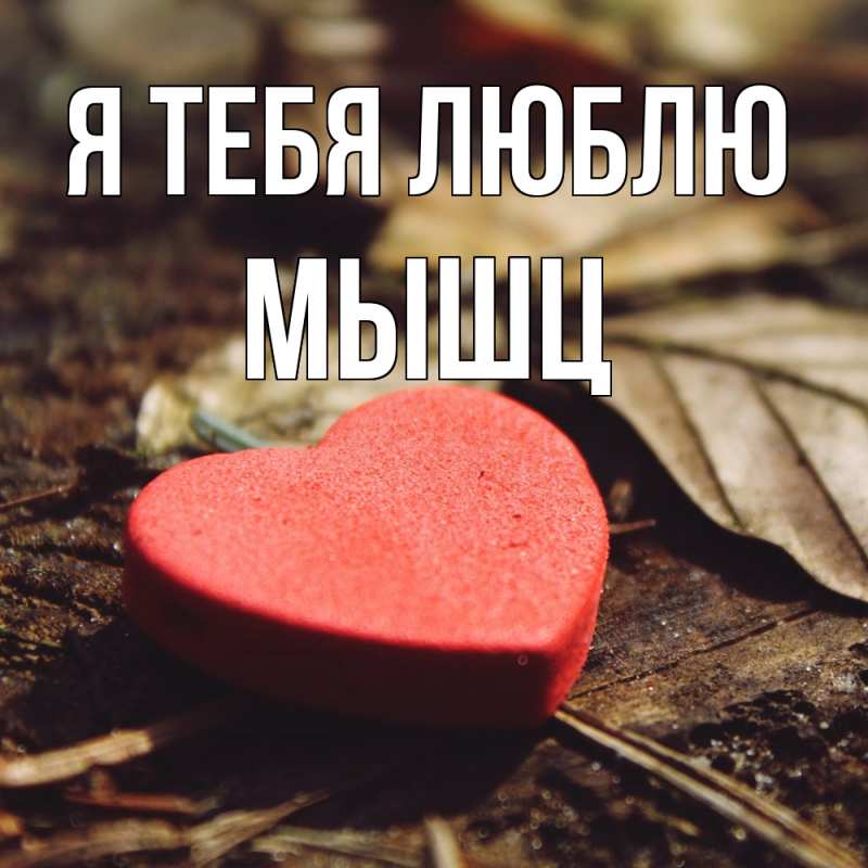 Картинка Я тебя люблю, Мышц