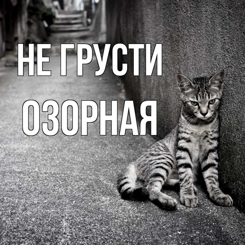 Картинка Не грусти, Озоpная