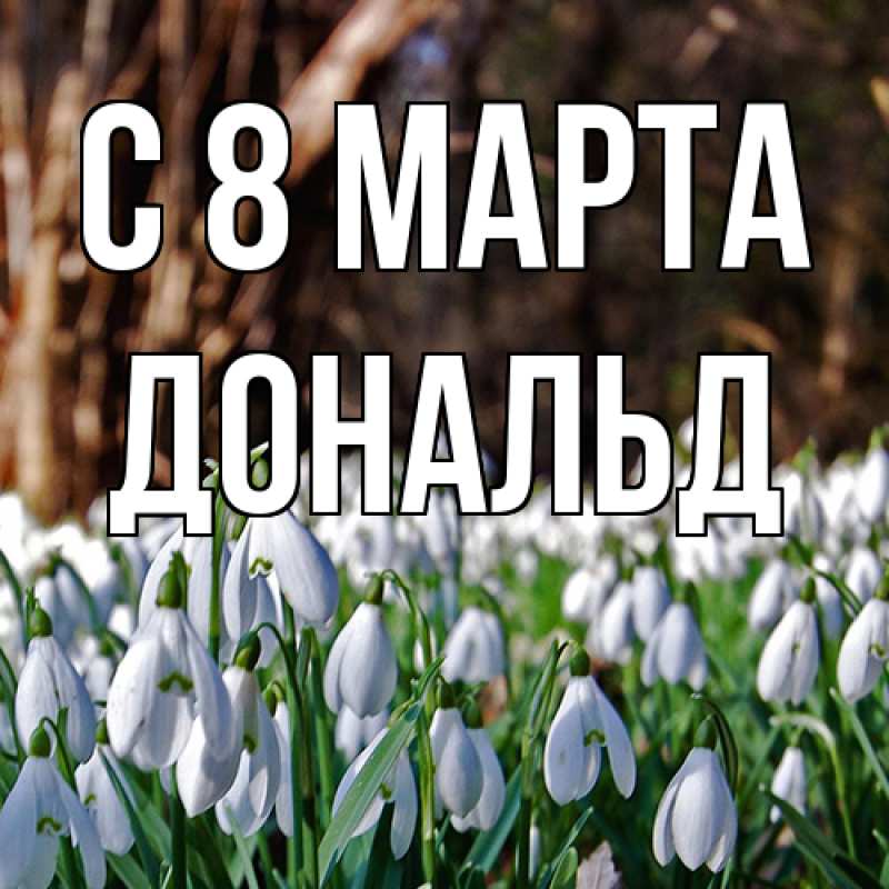 Картинка C 8 МАРТА, Дональд
