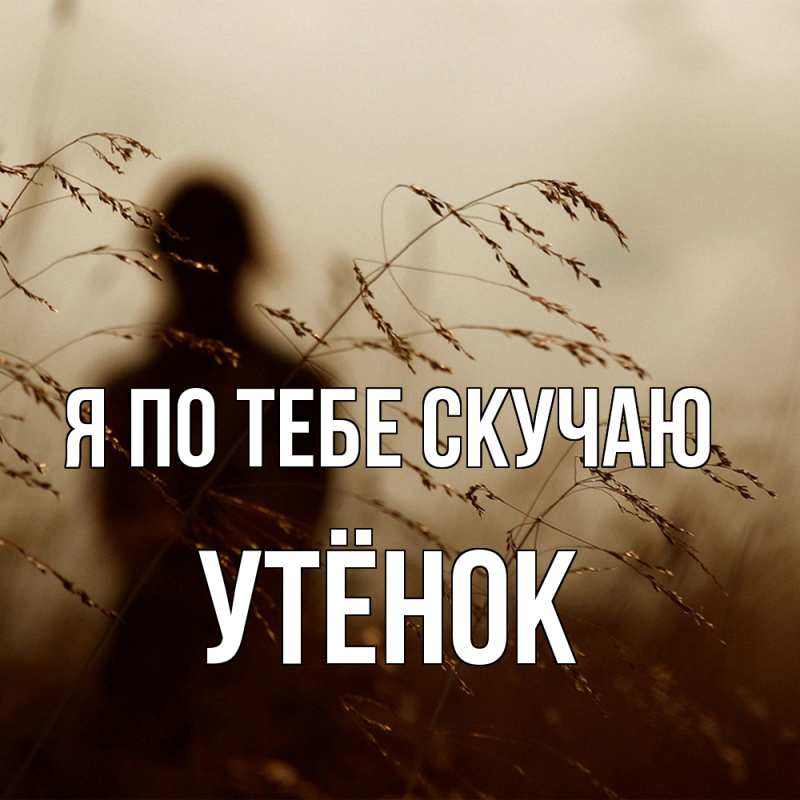 Картинка Я по тебе скучаю, Утёнок