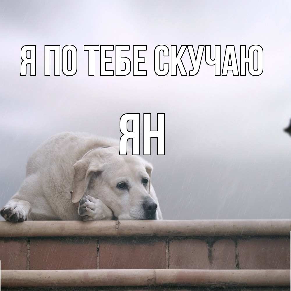 Открытка на каждый день с именем, Ян Я по тебе скучаю ждет Прикольная открытка с пожеланием онлайн скачать бесплатно 