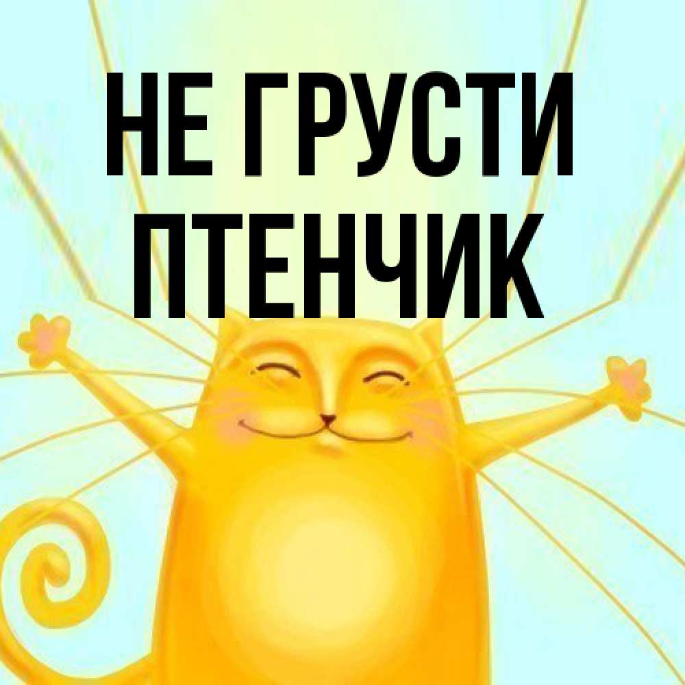 Открытка на каждый день с именем, Птенчик Не грусти обнимашки усатые Прикольная открытка с пожеланием онлайн скачать бесплатно 