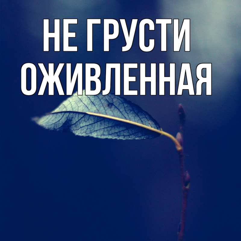 Картинка Не грусти, Оживленная