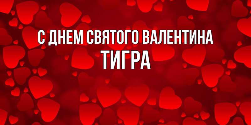 Картинка С днем Святого Валентина, Тигра