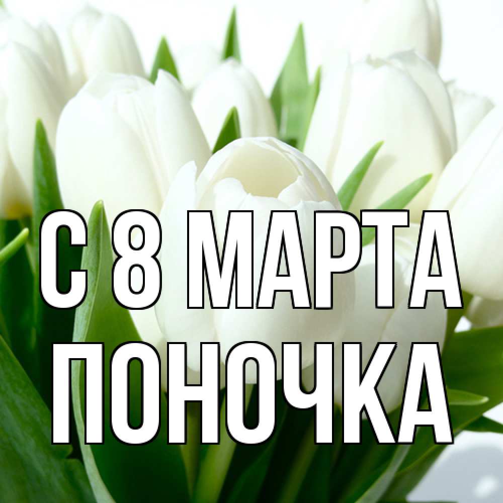 Открытка на каждый день с именем, поночка C 8 МАРТА цветы Прикольная открытка с пожеланием онлайн скачать бесплатно 