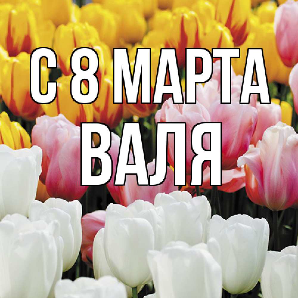 Открытка на каждый день с именем, Валя C 8 МАРТА разноцветные цветы Прикольная открытка с пожеланием онлайн скачать бесплатно 