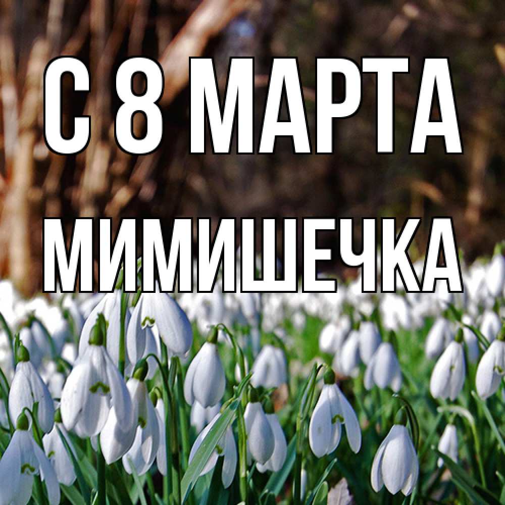Открытка на каждый день с именем, мимишечка C 8 МАРТА с подснежниками 1 Прикольная открытка с пожеланием онлайн скачать бесплатно 