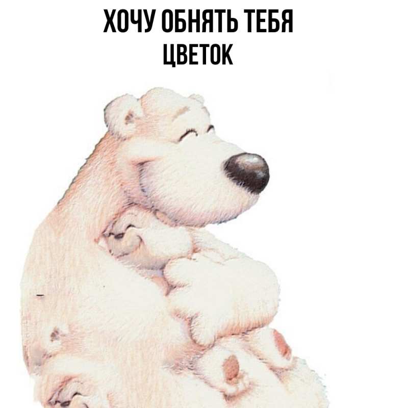 Картинка Хочу обнять тебя, Цветок