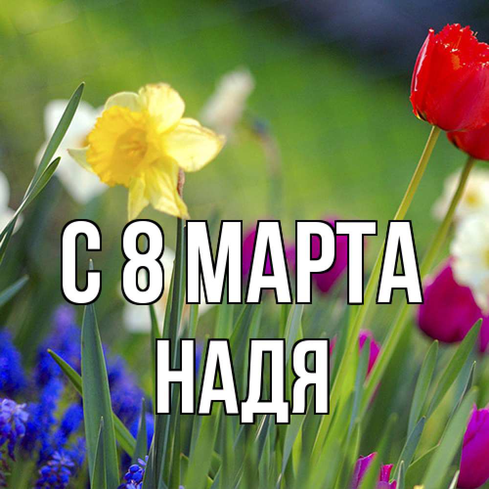 Открытка на каждый день с именем, Надя C 8 МАРТА международный женский день 3 Прикольная открытка с пожеланием онлайн скачать бесплатно 