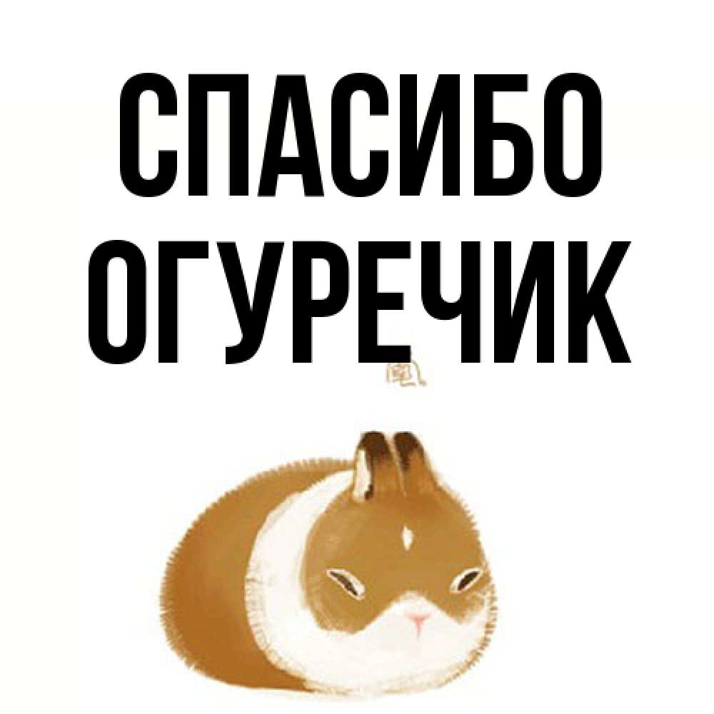 Открытка на каждый день с именем, Огуречик Спасибо коричнево белый домашний питомец Прикольная открытка с пожеланием онлайн скачать бесплатно 