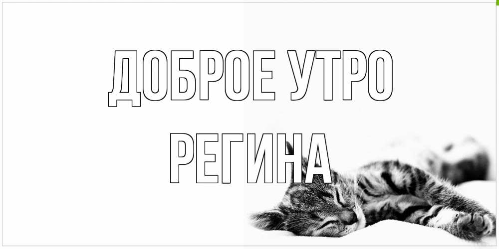 Открытка на каждый день с именем, Регина Доброе утро котуся Прикольная открытка с пожеланием онлайн скачать бесплатно 