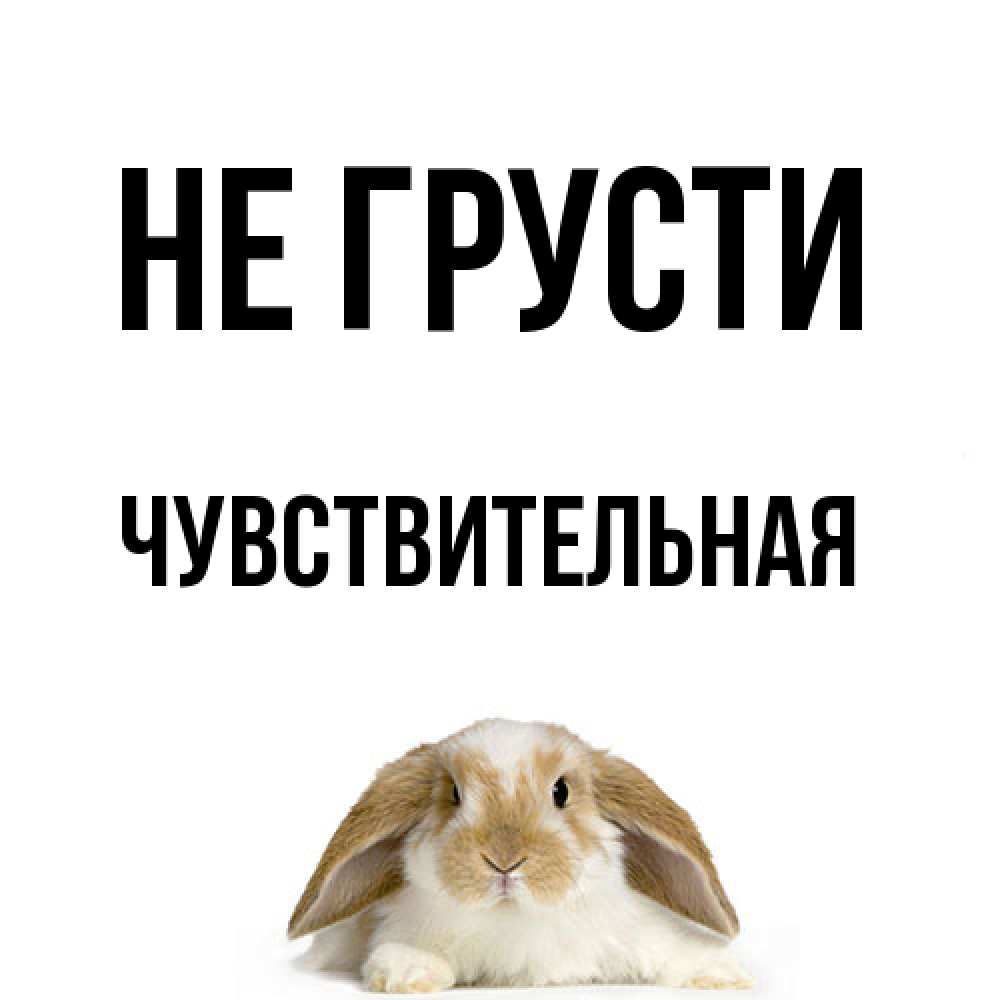 Открытка на каждый день с именем, Чувствительная Не грусти коричнево белый заяц с большими ушками Прикольная открытка с пожеланием онлайн скачать бесплатно 