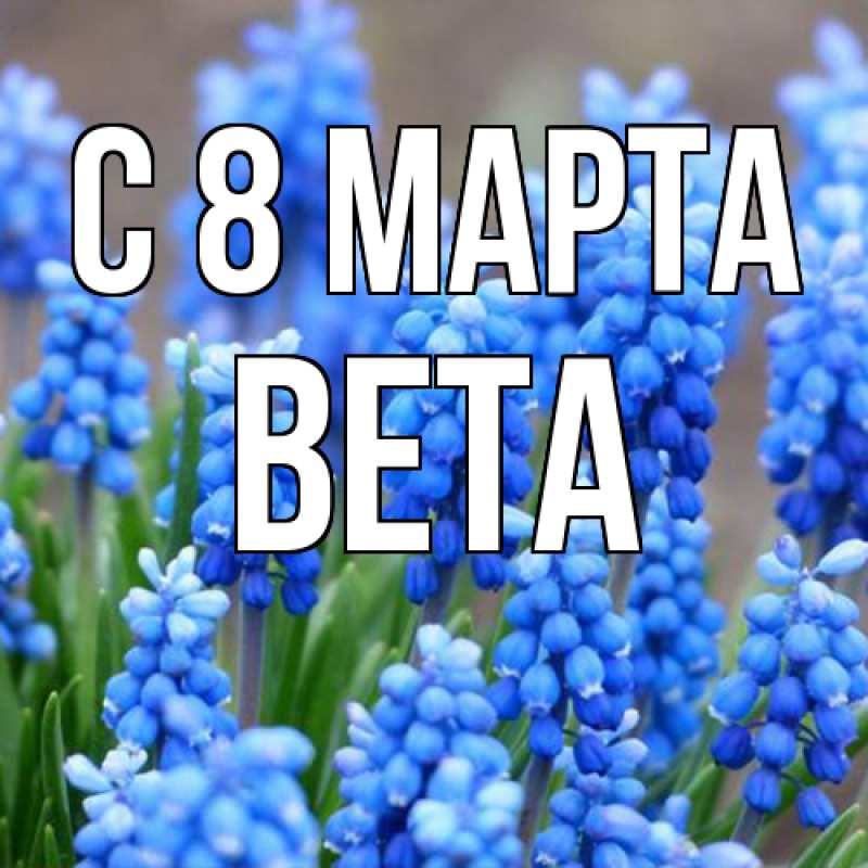 Картинка C 8 МАРТА, Вета
