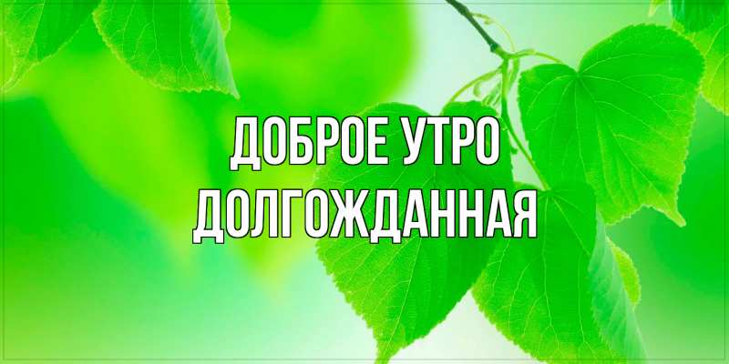 Картинка Доброе утро, Долгожданная