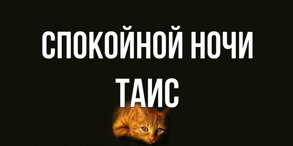 Открытка на каждый день с именем, Таис Спокойной ночи кот Прикольная открытка с пожеланием онлайн скачать бесплатно 