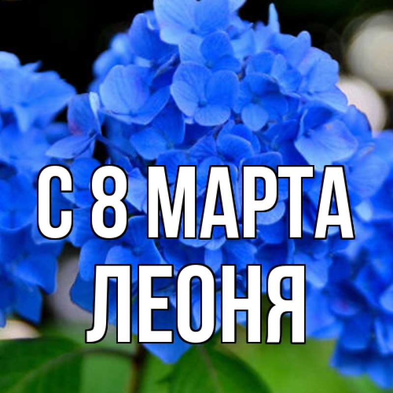 Картинка C 8 МАРТА, Леоня