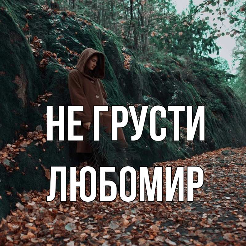 Картинка Не грусти, Любомир