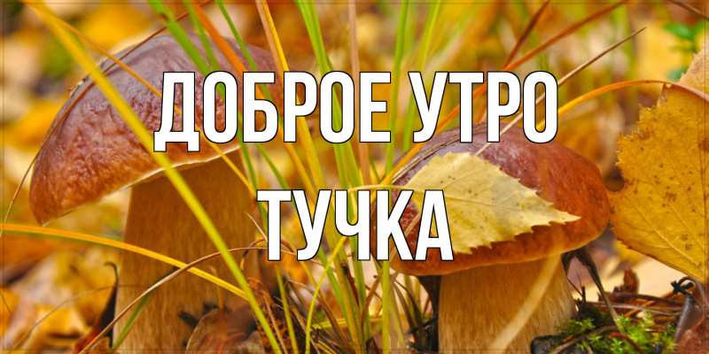 Картинка Доброе утро, Тучка