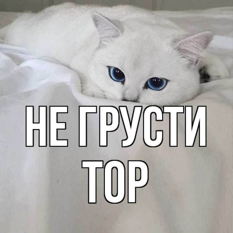 Картинка Не грусти, Тор