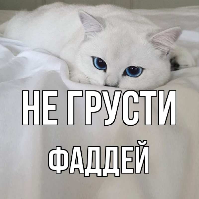 Картинка Не грусти, Фаддей