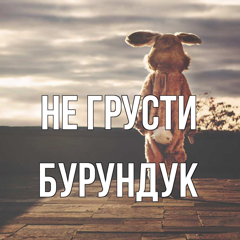Открытка на каждый день с именем, Бурундук Не грусти со спины Прикольная открытка с пожеланием онлайн скачать бесплатно 