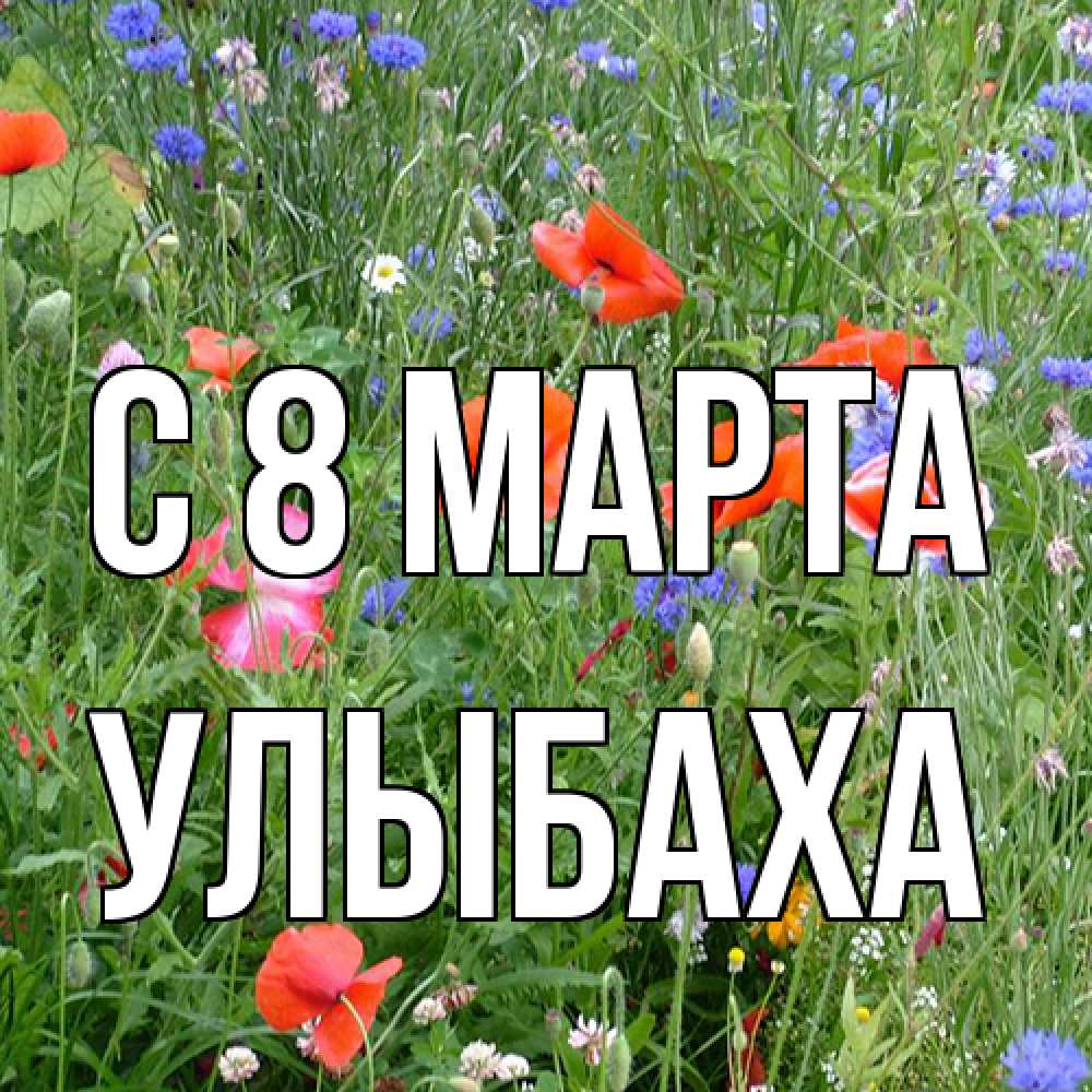 Открытка на каждый день с именем, Улыбаха C 8 МАРТА международный женский день 4 Прикольная открытка с пожеланием онлайн скачать бесплатно 