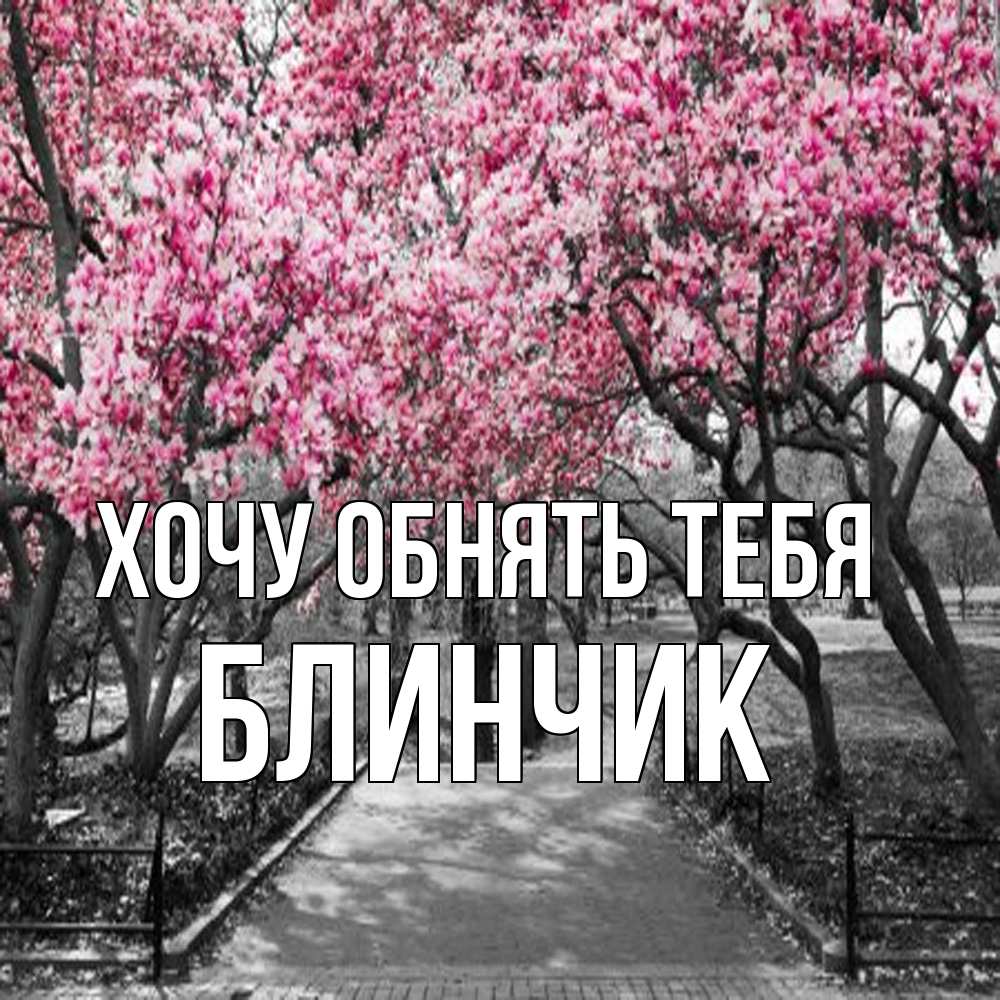 Открытка на каждый день с именем, Блинчик Хочу обнять тебя обработанное фото Прикольная открытка с пожеланием онлайн скачать бесплатно 
