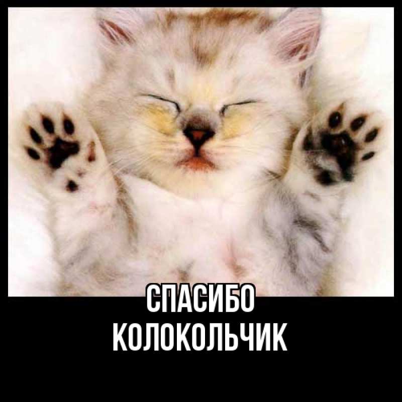 Картинка Спасибо, Колокольчик