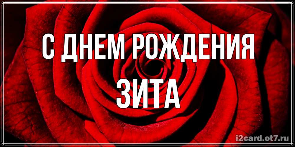 Открытка на каждый день с именем, Зита С днем рождения алая роза Прикольная открытка с пожеланием онлайн скачать бесплатно 