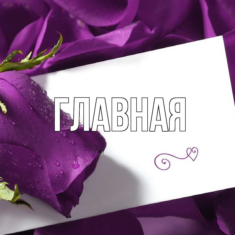 Открытка на каждый день с именем, настя Главная роза Прикольная открытка с пожеланием онлайн скачать бесплатно 