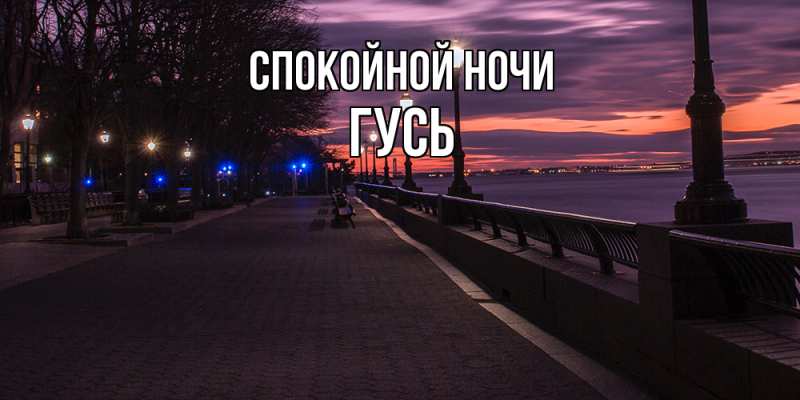 Картинка Спокойной ночи, Гусь