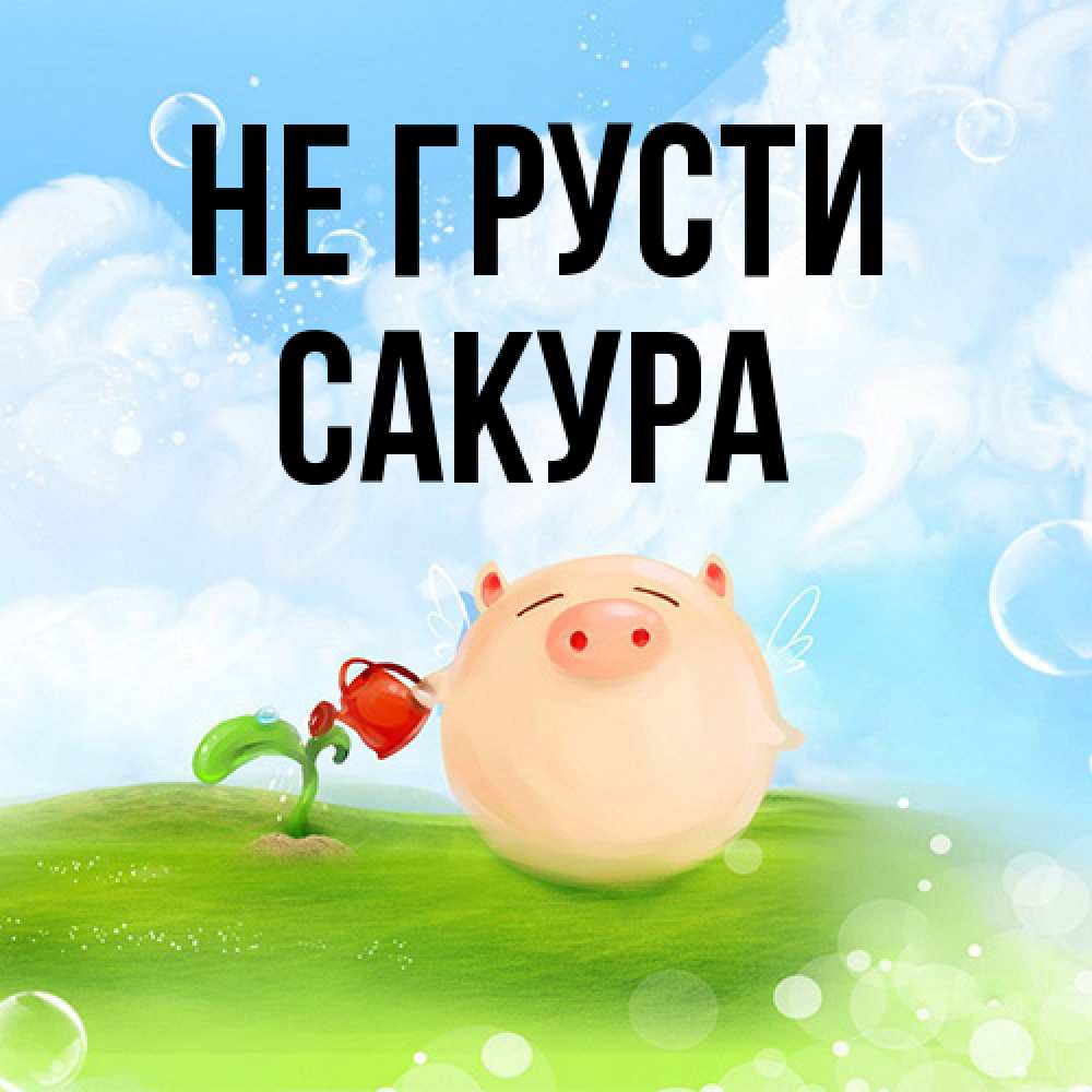 Открытка на каждый день с именем, Сакура Не грусти поливает цветок порося Прикольная открытка с пожеланием онлайн скачать бесплатно 