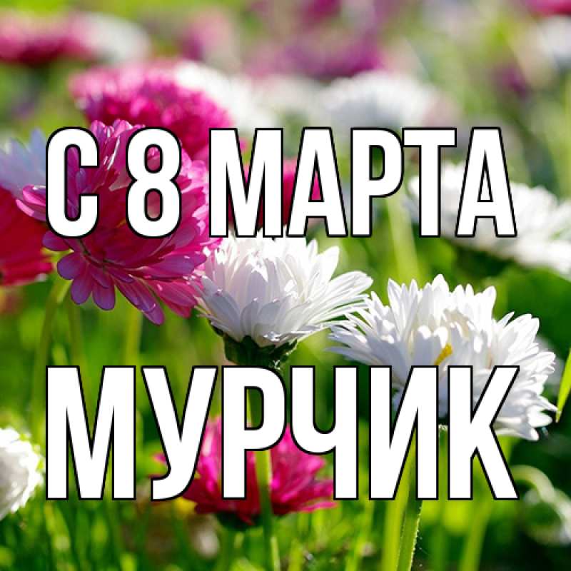 Картинка C 8 МАРТА, Мурчик