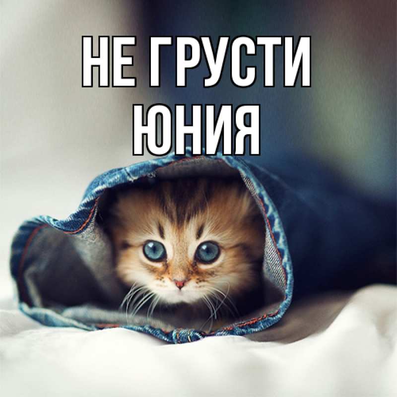 Картинка Не грусти, Юния