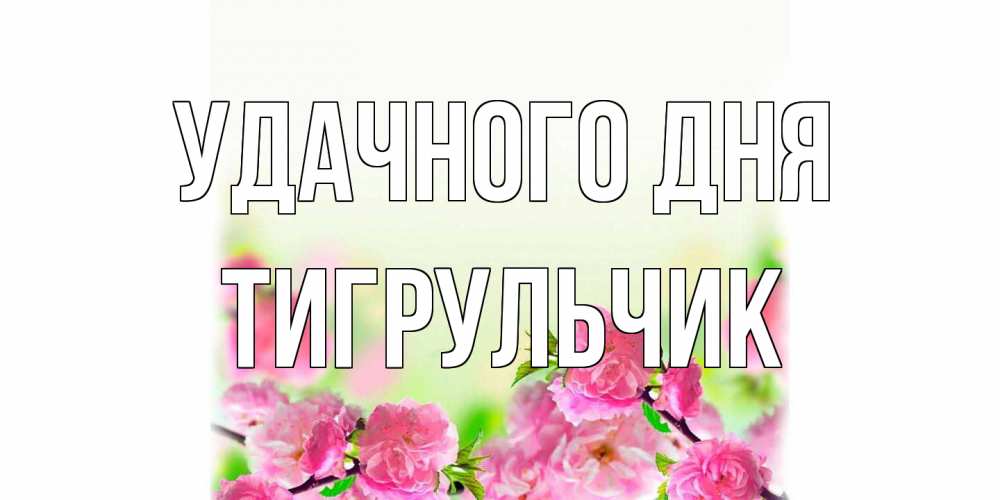 Открытка на каждый день с именем, Тигpульчик Удачного дня цветы Прикольная открытка с пожеланием онлайн скачать бесплатно 