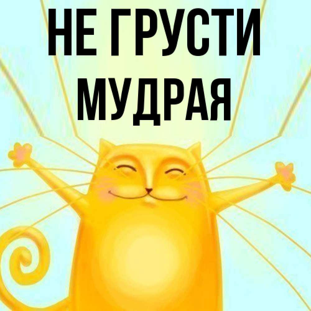 Открытка на каждый день с именем, мудрая Не грусти обнимашки усатые Прикольная открытка с пожеланием онлайн скачать бесплатно 