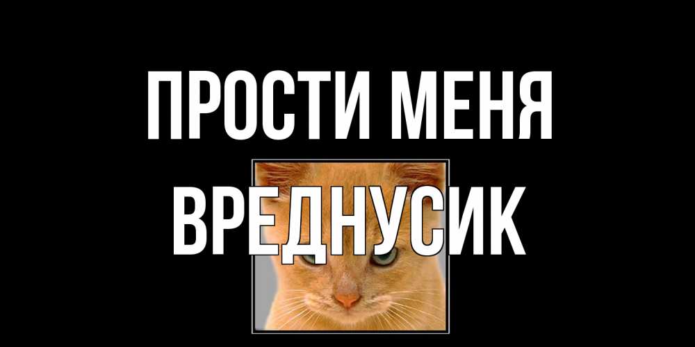 Открытка на каждый день с именем, Вреднусик Прости меня рыжий грустный кот просит прощения Прикольная открытка с пожеланием онлайн скачать бесплатно 