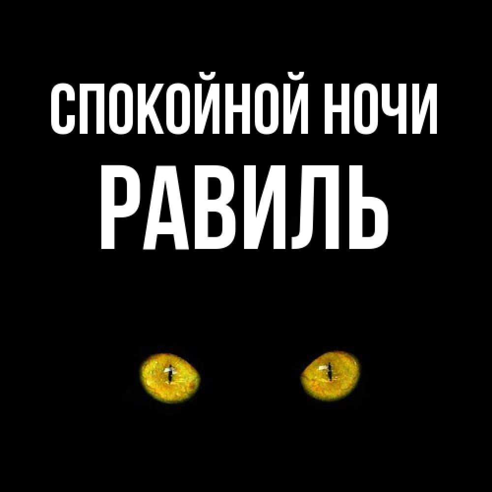 Открытка на каждый день с именем, Равиль Спокойной ночи сладких снов бесстрашный мой дружочек Прикольная открытка с пожеланием онлайн скачать бесплатно 