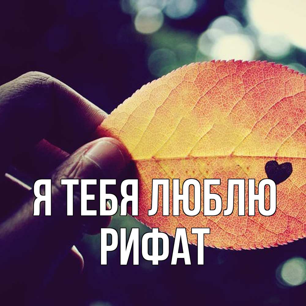 Открытка на каждый день с именем, Рифат Я тебя люблю держу лист Прикольная открытка с пожеланием онлайн скачать бесплатно 