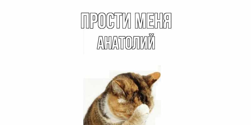 Картинка Прости меня, Анатолий
