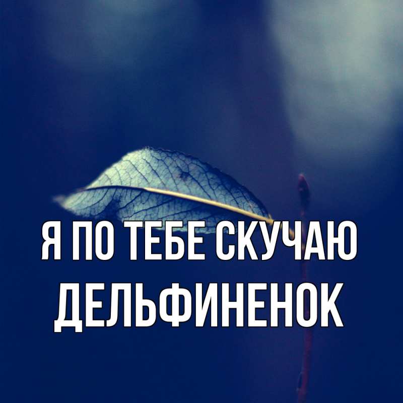 Картинка Я по тебе скучаю, дельфиненок