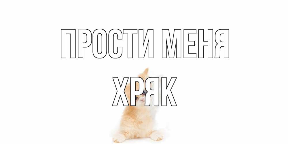 Открытка на каждый день с именем, Хряк Прости меня кот Прикольная открытка с пожеланием онлайн скачать бесплатно 