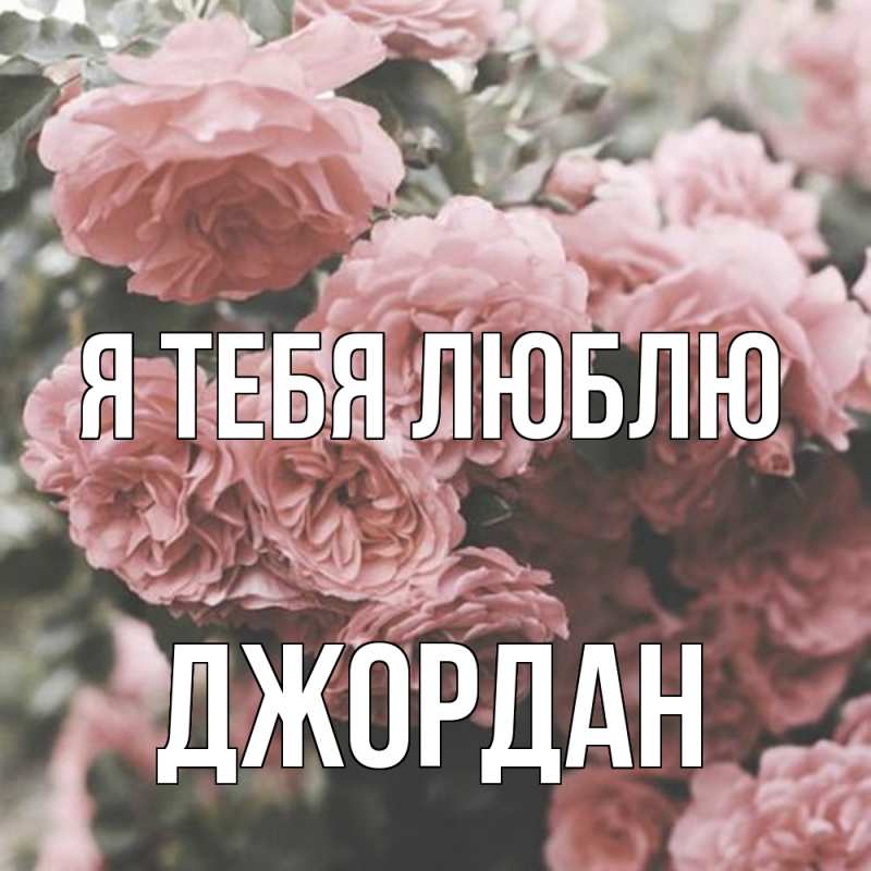 Картинка Я тебя люблю, Джордан
