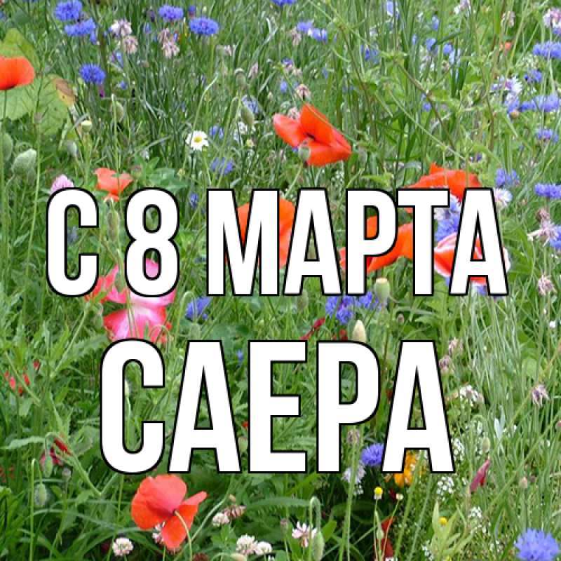 Картинка C 8 МАРТА, Саера